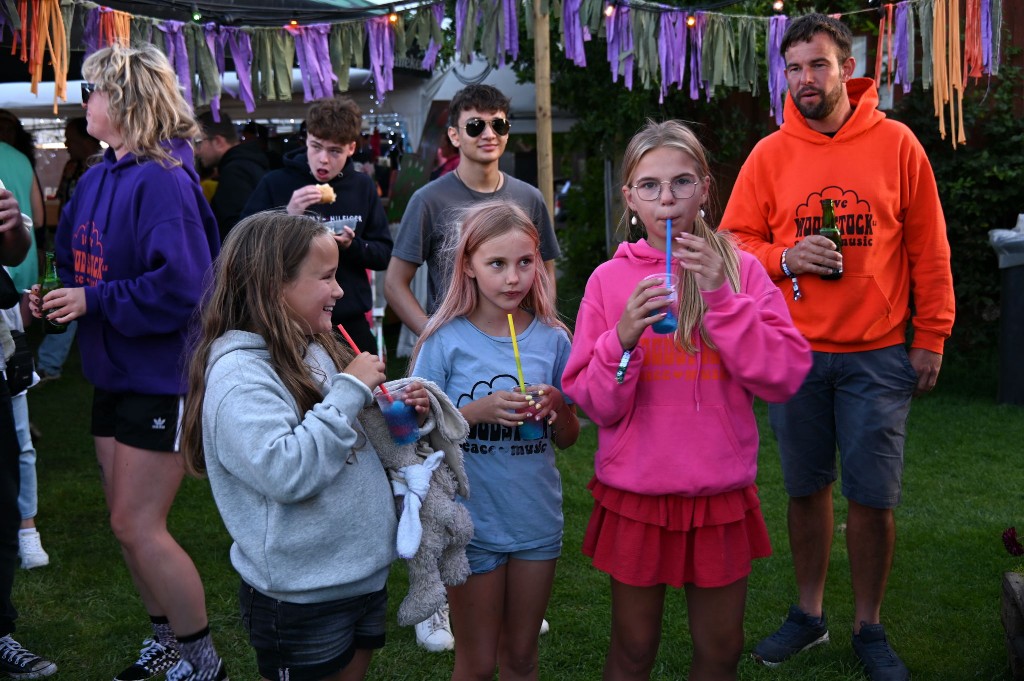 ../Images/Woodstock 2.0 2025 480.jpg